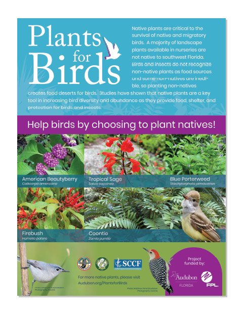 Audubon Plants for Birds poster
