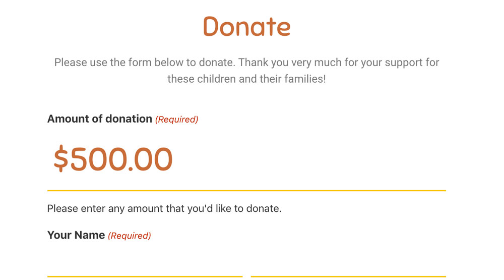 Preview of donate form